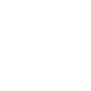 Search Icon